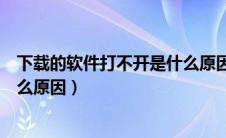 下载的软件打不开是什么原因电脑（下载的软件打不开是什么原因）