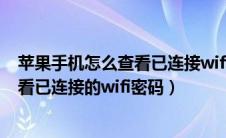 苹果手机怎么查看已连接wifi密码二维码（苹果手机怎么查看已连接的wifi密码）