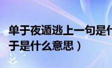 单于夜遁逃上一句是什么（单于夜遁逃中的单于是什么意思）