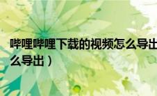 哔哩哔哩下载的视频怎么导出mp4（哔哩哔哩下载的视频怎么导出）