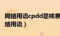 网络用语cpdd是啥意思（cpdd是什么意思网络用语）