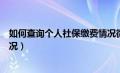 如何查询个人社保缴费情况微信（如何查询个人社保缴费情况）