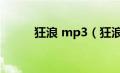 狂浪 mp3（狂浪微盘下载mp3）