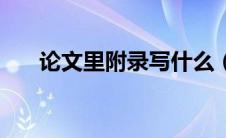 论文里附录写什么（论文附录写什么）