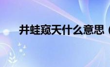 井蛙窥天什么意思（井蛙窥天的故事）