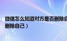 微信怎么知道对方是否删除自己了（微信怎么知道对方是否删除自己）