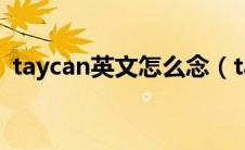 taycan英文怎么念（taycan中文名怎么读）