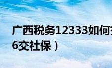 广西税务12333如何交社保（广西税务12366交社保）