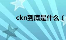 ckn到底是什么（ckn是什么意思）