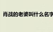 肖战的老婆叫什么名字?（肖战的老婆是谁）