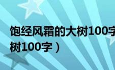 饱经风霜的大树100字一段话（饱经风霜的大树100字）