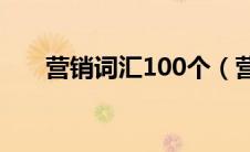 营销词汇100个（营销词指的是什么）