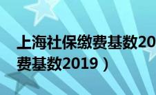 上海社保缴费基数2024年最新（上海社保缴费基数2019）