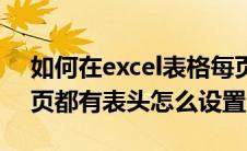 如何在excel表格每页都加入表头（excel每页都有表头怎么设置）