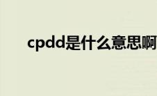 cpdd是什么意思啊（cpdd是啥意思）