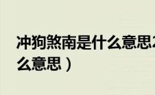 冲狗煞南是什么意思2023年（冲狗煞南是什么意思）