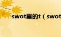 swot里的t（swot中的t是什么意思）