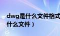 dwg是什么文件格式转换其他格式（dwg是什么文件）