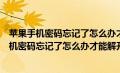 苹果手机密码忘记了怎么办才能解开还能保持数据（苹果手机密码忘记了怎么办才能解开）