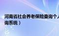 河南省社会养老保险查询个人账户（河南省社会养老保险查询系统）