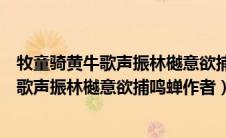 牧童骑黄牛歌声振林樾意欲捕鸣蝉歌声振林樾（牧童骑黄牛歌声振林樾意欲捕鸣蝉作者）