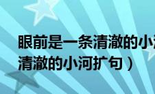 眼前是一条清澈的小河扩句10（眼前是一条清澈的小河扩句）