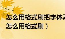 怎么用格式刷把字体弄成和上面一样的格式（怎么用格式刷）