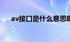 av接口是什么意思啊（av接口是什么）