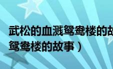 武松的血溅鸳鸯楼的故事（水浒传中武松血溅鸳鸯楼的故事）