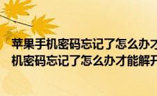 苹果手机密码忘记了怎么办才能解开还能保持数据（苹果手机密码忘记了怎么办才能解开）