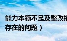 能力本领不足及整改措施（工作能力不足方面存在的问题）