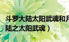 斗罗大陆太阳武魂和月亮武魂融合技（斗罗大陆之太阳武魂）