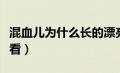 混血儿为什么长的漂亮（混血儿为什么长得好看）