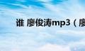 谁 廖俊涛mp3（廖俊涛谁mp3下载）