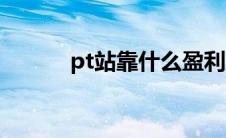 pt站靠什么盈利（pt站是什么）