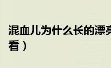 混血儿为什么长的漂亮（混血儿为什么长得好看）