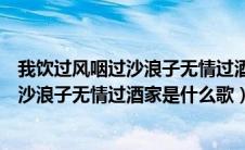 我饮过风咽过沙浪子无情过酒家是什么歌dj（我饮过风咽过沙浪子无情过酒家是什么歌）