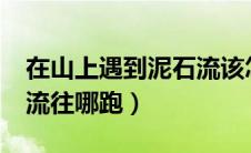 在山上遇到泥石流该怎么办?（山上遇到泥石流往哪跑）