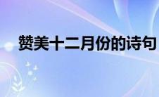 赞美十二月份的诗句（赞美12月的诗句）