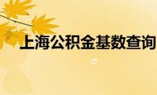 上海公积金基数查询（公积金基数查询）