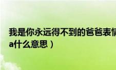 我是你永远得不到的爸爸表情包（我是你永远得不到的baba什么意思）