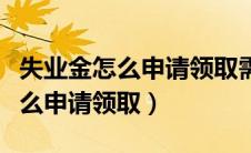 失业金怎么申请领取需要什么材料（失业金怎么申请领取）