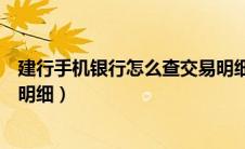 建行手机银行怎么查交易明细（建行手机银行如何查询交易明细）