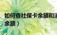 如何查社保卡余额和消费记录（如何查社保卡余额）