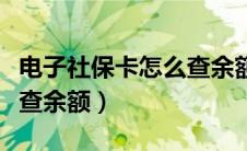 电子社保卡怎么查余额明细（电子社保卡怎么查余额）