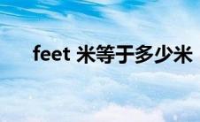 feet 米等于多少米（feet和米的换算）