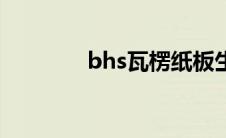 bhs瓦楞纸板生产线（bhs）