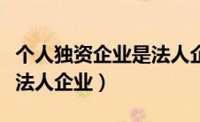 个人独资企业是法人企业还是非法人企业（非法人企业）