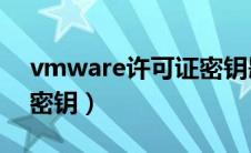 vmware许可证密钥匙（vmware10许可证密钥）