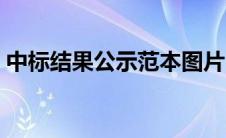 中标结果公示范本图片（中标结果公示范本）